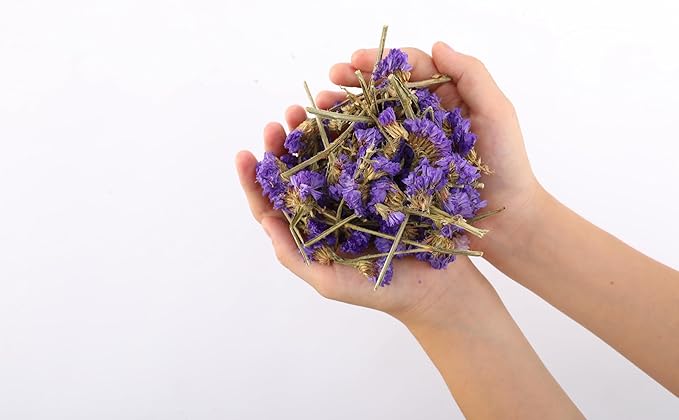 Dried Flower Forget Me Not Biodegradable Confetti - Real Flower Petals for Weddings, Flower Girl Toss, Wedding Send Off Ideas, Party Table Decoration | Boxed - 8oz (0.5lbs)