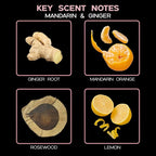 LOVSPA Reed Diffuser Set, Mandarin & Ginger Scented Oil Diffuser with Sticks, Home Fragrance Accessories for Bathroom Shelf Decor, Aroma Diffusers for Home or Office Desk, USA Made