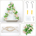 Floating Shelves for Wall,Plant Wall Decor,Hanging Shelf,Cottage Core Decor,Room Decor Aesthetic,Boho Room,Adhesive Shelves,Floating Shelves for No Drilling,Two-Piece Set(Champagne Flower)