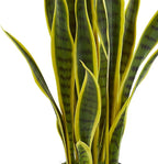 Nearly Natural 26 in. Sansevieria Artificial Silk Plants, Green