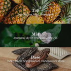 M&SENSE Natural Soy Candle| Eucalyptus Spearmint | 5.3 oz | Minimalist Scented Candle for Relaxation, Gifting, Home Décor | for Bedroom, Office, Party Small