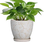 6 Inch Ceramic Plant Pot for Indoor Plants Outdoor Round Planter Flower Pot with Drainage Hole and Saucer for Home Garden Office Decor White