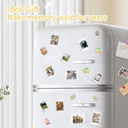 5 Pack 3x4 Inch Acrylic Polaroid Magnets Picture Frame for Refrigerator, Scalloped Clear Frames for Instax Photo, Wallet Size Mini Frame for Fridge