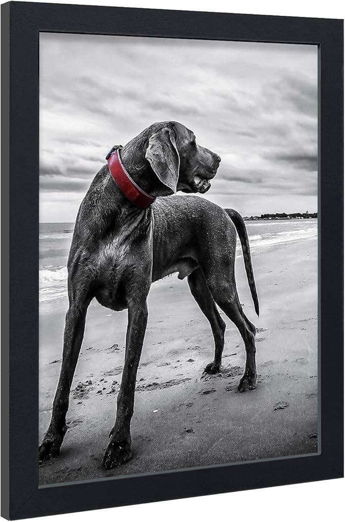 VCK 18x24 Poster Frames 3 Pack Black MDF Wood and Polished Plexiglass Frame,Display Pictures in Horizontal and Vertical
