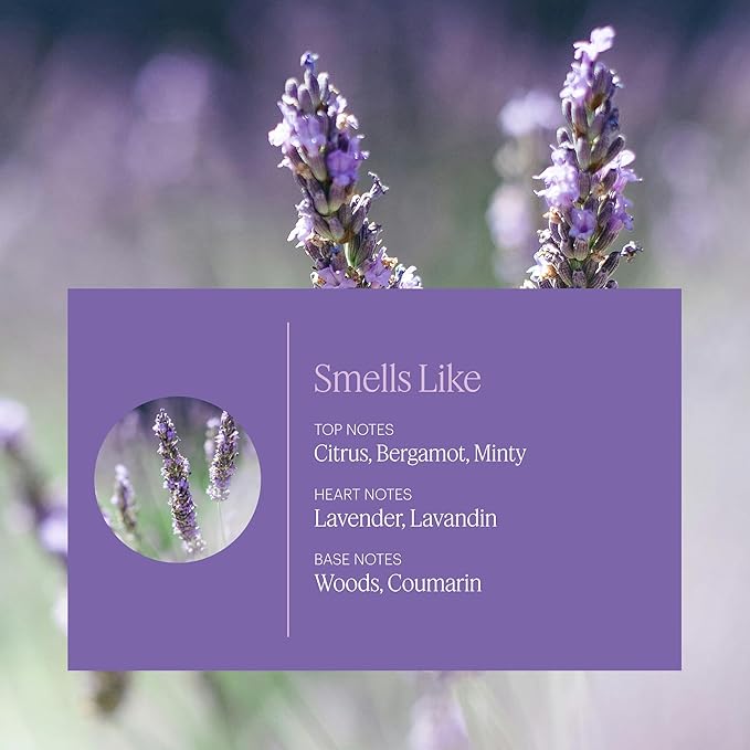 Aera Lavender - Essential Oil for Home - Calming and Meditative Fragrance - Notes of Lavender, Chamomile and Cedar Leaf- Scent Refill - Works with the Aera Diffuser
