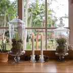 Candlestick Holders Bulk - 12PCS Taper Candle Holders for Table Centerpiece - Thick Glass Candle Holders for Wedding, Party and Festival Decoration