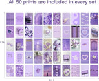 Soft Purple Dreamy Aesthetic Wall Collage Kit – 50 Mystical & Classic Photos, 4"x6" Semi-Gloss Prints for Teen Girls Dorm Room Decor, Elegant Purple Moments, Ideal Gift for Birthday & Graduation