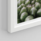 SIGNWIN Framed Tropical Island Wall Art, Set of 4 Green Desert Plant Cactus Snake Plant Wall Decor Prints, Nature Wilderness Wall Décor for Living Room, Bedroom - 11"x14"White