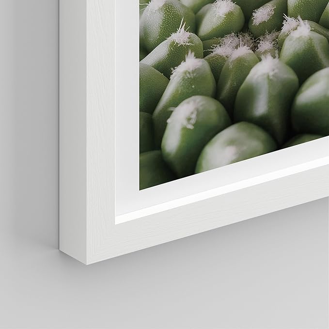 SIGNWIN Framed Tropical Island Wall Art, Set of 4 Green Desert Plant Cactus Snake Plant Wall Decor Prints, Nature Wilderness Wall Décor for Living Room, Bedroom - 12"x16" White