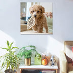 Personalized Photo to Canvas Print - Canvas Prints With Your Photos on Custom Wall Art for Bedroom, Living Room, Wedding Baby Pet Family Picture Framed Wall Art (12" W x 12" H)