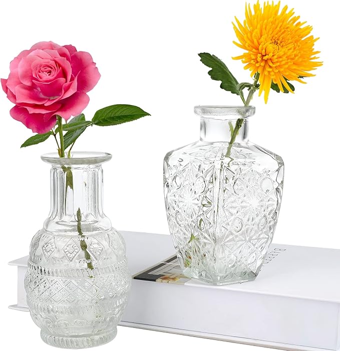 Glass Vase Bud in Bulk Set of 2,Vintage Flower Bottle Small Bud Vases for Floral Arrangements, Home Decor,Wedding Centerpiece,Table Decor,Decorative Centerpiece,Dinning(Set of 2)