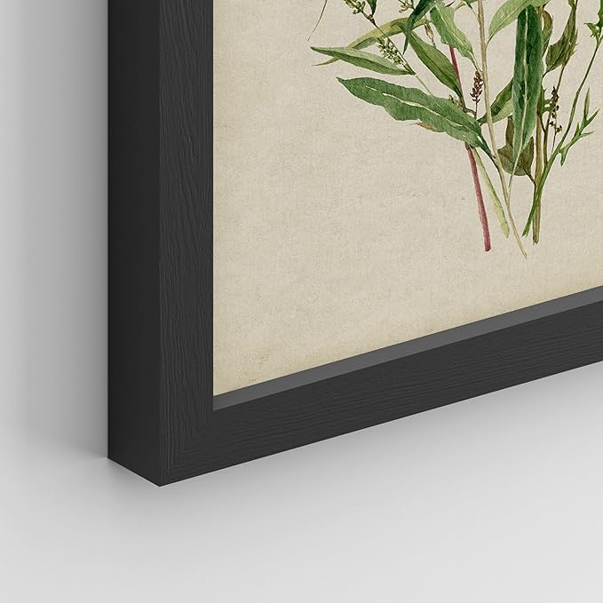 SIGNWIN Framed Watercolor Floral Botanical Wall Art, Set of 4 Vintage Wall Decor Prints, Minimalist Wall Décor for Living Room, Bedroom - 11"x14" Black