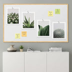 SIGNWIN Adhesive Canvas Poster Tropical Island Green Desert Plant Cactus Snake Plant Nature Wilderness Photography Realism Decorative Rustic Cozy Zen for Living Room, Bedroom, Office - 8"x10"x 4