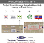 Satya Nag Champa White Sage Incense Sticks, SatyaBng (Bangalore) Insenses 15gmx12 Pack with Raajsee Insence Holder Bundle, Nag Champa Natural Incense