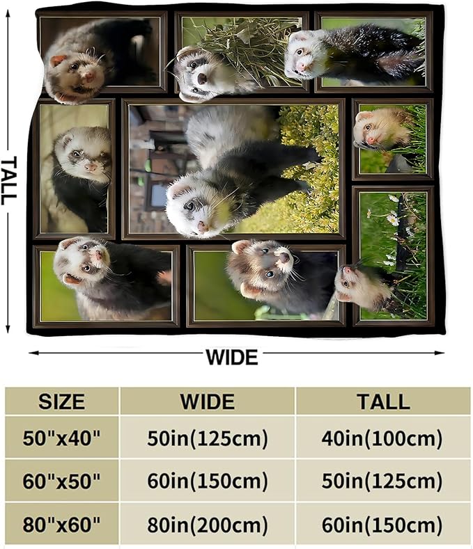 Cute Ferret Blanket for Women Girls Boys Men Funny Animal Ferrets Throw Blanket Plush Cozy Flannel Fleece Ultra Soft Fuzzy Blankets Gifts 80"X60"