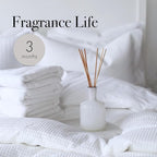 LAFCO New York Classic Reed Diffuser, Champagne - 6 oz, Pack of 2 - Up to 3 Months Fragrance Life - Reusable, Hand Blown Glass Vessel - Natural Wood Reeds - Made in The USA