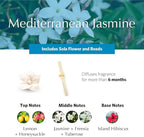 AGRARIA PetiteEssence Flower and Reed Diffuser Set, Hand Crafted Sola Flower Botanical Home Fragrance Set, Scented Oil Gift for All Occasions