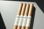 Lemon & Musk Incense Sticks – 11 Inch Bamboo and Natural Wood Blend – Clean-Burning, Low Smoke – 1 Hour Burn Time – 20 Sticks.