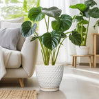 G EPGardening 10 Inch Plant Pot Ceramic Pots for Plants Indoor Outdoor Plant Pots with Drainage Hole and Saucer Round Large Flower Pot for Home Garden Office White