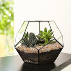 5 lbs Coarse Silica Sand for Indoor Plants, 1/5 Inch Natural Decorative Gravel for Vases, Aquariums, Terrarium, Fish Tank, Drainage Rocks for Potted Plants, Bamboo, Succulent, Crafts, Cactus