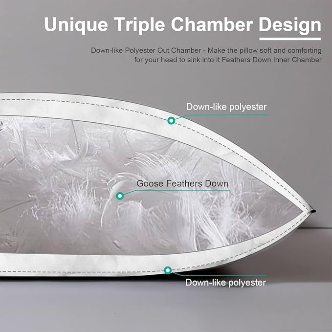 APSMILE Medium Firm Feather Down Pillows Queen Size Pack of 1, Luxury Goose Feather Pillow for Sleeping, 600TC/DM Organic Cotton Cover Hotel Collection Bed Pillows (White, 20"x30")
