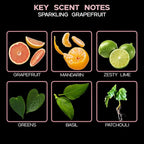 LOVSPA Reed Diffuser Set, Sparkling Grapefruit Scented Oil Diffuser with Sticks, Home Fragrance Accessories for Bathroom Shelf Decor, Aroma Diffusers for Home or Office Desk, USA Made