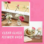 33pcs Glass Small Bud Vases Set - 9 Styles Clear Bud Vase for Centerpieces, Wedding, Home Table Flower Décor Perfume Bottle Inspired Clear Flower Vases in Bulk