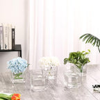 Square Glass Vases Set of 9, 4"x 4"x 4" Flower Vases for Centerpieces, Clear Glass Vase for Flowers, Small Vase for Wedding, Party, Home Office Decoration