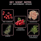 LOVSPA Reed Diffuser Set, Joy Winterberry Spruce Scented Oil Diffuser with Sticks, Home Fragrance Accessories for Bathroom Shelf Decor, Aroma Diffusers for Home or Office Desk, USA Made