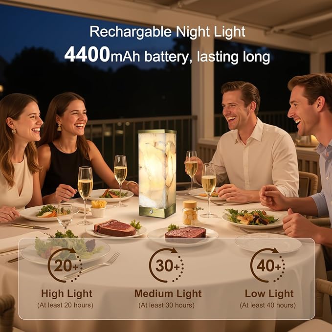 Scenekoy Alabaster Rechargeable Table Lamp for Living Room Bedroom Nightstand, Portable Battery Operated LED Bedside Lamp, Cordless Night Light for Home Office Dorm Desk Decor (Bulb Included)
