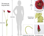 IPOPU 43.3" Red Poppy Flowers Artificial Flowers 6pcs Fake Silk Poppies Long Stem Artificial Flowers for Tall Vase for Wedding Party Home Decor(Red)