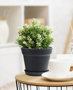 homenote Pots for Plants, 15 Pack 6 Inch Plastic Planters with Multiple Drainage Holes and Tray,Plant Pots for All Home Garden Flowers Succulents (Black)