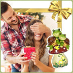 Solar Light Turtle Garden Statue, Turtle on Mushroom Figurine, Lovely Tortoise Garden Statue with 5 LED Lights for Patio, Balcony, Yard, Housewarming, Lawn Ornament, Outdoor Lawn Decor