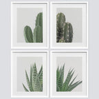 SIGNWIN Framed Green Cactus Snake Plant Wall Art, Set of 4 Collage Desert Landscape Wall Decor Prints, Nature Wilderness Wall Décor for Living Room, Bedroom - 11"x14"White