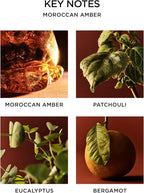 NEST New York Reed Diffuser, Moroccan Amber - 5.9 fl oz - Fragrance for Up to 90 Days - Reusable, Refillable Glass Holder - Includes 8 All-Natural Reed Sticks - Flame Free