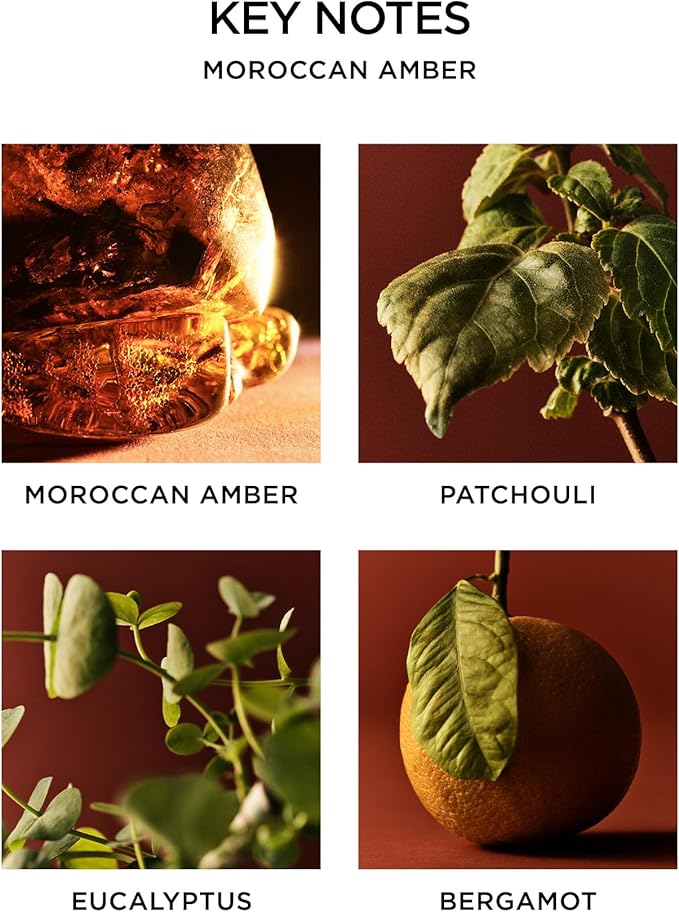 NEST New York Reed Diffuser, Moroccan Amber - 5.9 fl oz - Fragrance for Up to 90 Days - Reusable, Refillable Glass Holder - Includes 8 All-Natural Reed Sticks - Flame Free