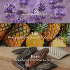 M&SENSE Natural Soy Candle| Lavender Vanilla | 5.3 oz | Minimalist Scented Candle for Relaxation, Gifting, Home Décor | for Bedroom, Office, Party Small