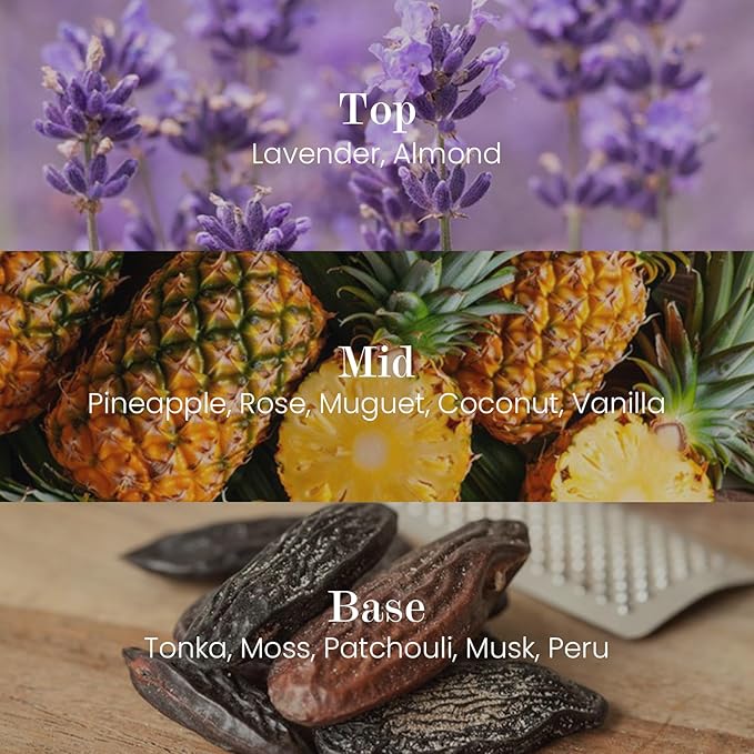 M&SENSE Natural Soy Candle| Lavender Vanilla | 5.3 oz | Minimalist Scented Candle for Relaxation, Gifting, Home Décor | for Bedroom, Office, Party Small