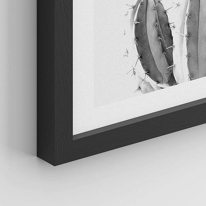 SIGNWIN Framed Black & White Saguaro Southwest Desert Tropical Cactus Wall Art, Set of 4 Floral Botanical Wall Decor Prints, Nature Wilderness Wall Décor for Living Room, Bedroom - 11"x14" Black