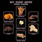 LOVSPA Reed Diffuser Set, Spiced Pumpkin Scented Oil Diffuser with Sticks, Home Fragrance Accessories for Bathroom Shelf Decor, Aroma Diffusers for Home or Office Fall Decor, USA Made