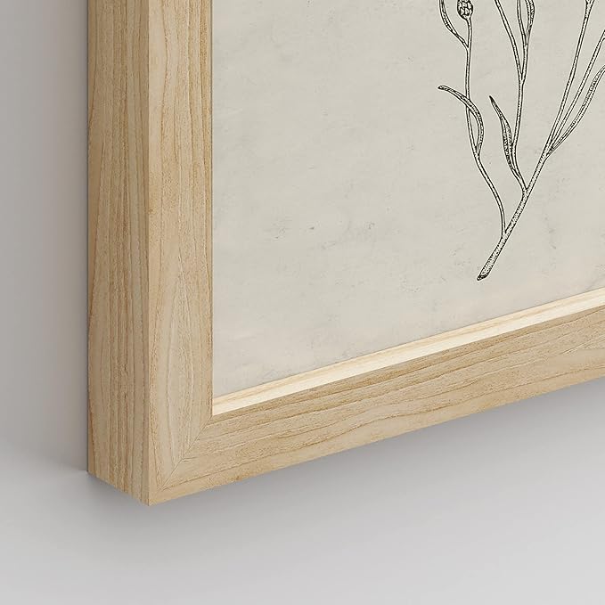 SIGNWIN Framed Vintage Wildflower Wall Art, Set of 4 Plant Collage Drawing Wall Decor Prints, Nature Wilderness Wall Décor for Living Room, Bedroom - 8"x10" Natural