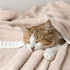 MIULEE Beige Super Soft Throw Blanket for Couch, Cozy Fluffy Warm Throws Knit Blankets for Sofa, Bed, Chair, Living Room, Camping, Picnic, 50 x 60 inch