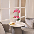 Artificial Potted Orchid Faux Phalaenopsis Silk Flowers Bonsai Realistic Arrangement in Ceramic Vase for Home Decoration Table Centerpiece, Rose Red