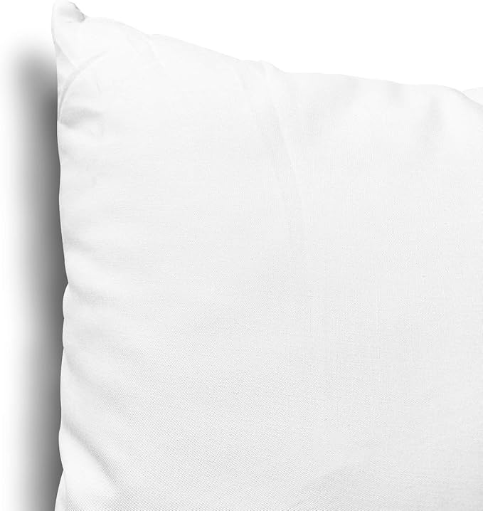 EDOW Throw Pillow Inserts, Set of 2 Lightweight Down Alternative Polyester Pillow, Couch Cushion, Sham Stuffer, Machine Washable. (White, 20x20)