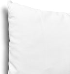 EDOW Throw Pillow Inserts, Set of 2 Lightweight Down Alternative Polyester Pillow, Couch Cushion, Sham Stuffer, Machine Washable. (White, 14x14)