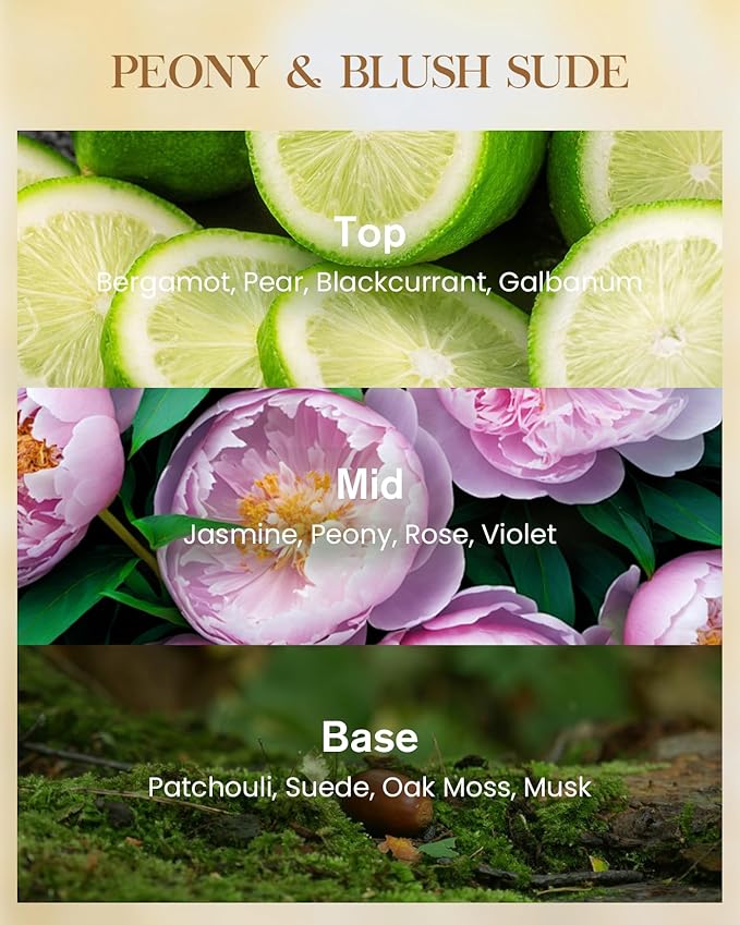 M&SENSE Peony Blush Sude Scented Natural Soy Wax Candle, 14.1oz 60 Hours Long Lasting Slow Burning Candles for Home Decor, Aromatherapy Candle for Stress Relief