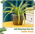 Self Watering Pots for Indoor Plants, 6-Pack 5'' Self Watering Planter with Drainage Holes, Small African Violet Pots with Water Indicator, Clear Wick Orchid Pot, Grey