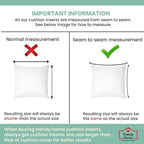 Trendy Home 18x18 Throw Pillow Insert (Set of 2, White) Bed and Couch Pillows Stuffer Hypoallergenic, Decorative Home Indoor Outdoor Sofa Pillow Filler (Machine Wash, 2 Pack)