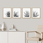 SIGNWIN Framed Black White Snake Plant Agave Cactus Succulent Wall Art, Set of 4 Floral Botanical Wall Decor Prints, Nature Wilderness Wall Décor for Living Room, Bedroom - 8"x10" Natural