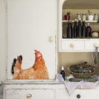 Chicken Lover Gifts Window Stickers, Cute Hens Wall Decals Peel and Stick, Funny Removable Vinyl Chicken Decoration for Farmhouse Kitchen Bedroom Door Refrigerator